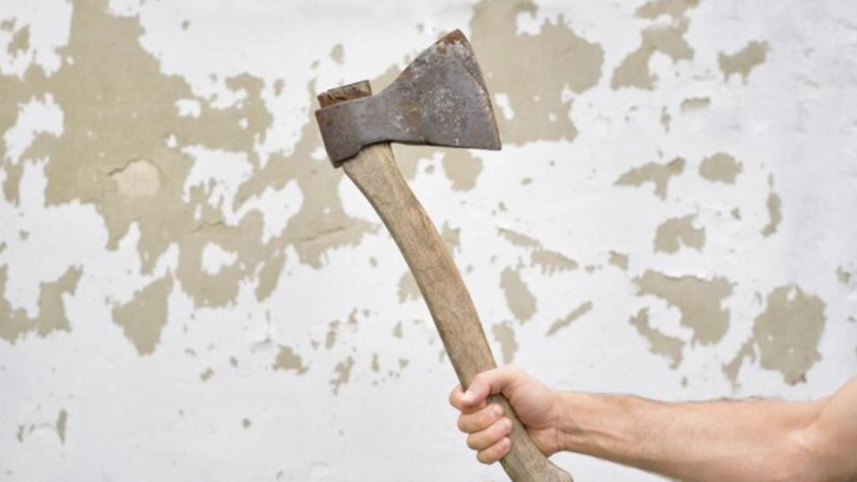 vila-de-lux--vandalizata-cu-drujbe-si-ciocane--proprietarii---prejudiciu-de-200-de-mii-de-euro-si-scapa-cu-amenda