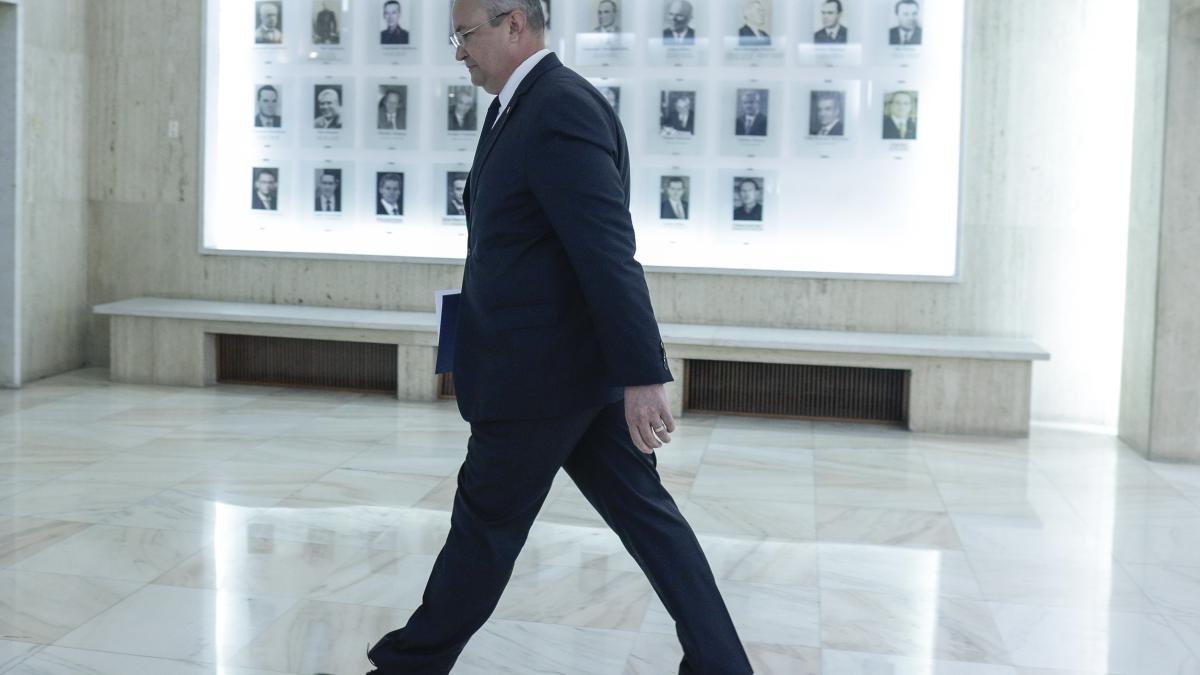 nicolae-ciuca-pleaca