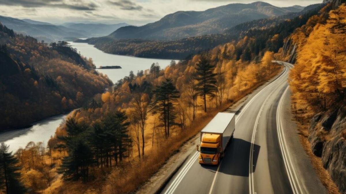 sofer-roman-de-camion--tras-pe-dreapta-pe-autostrada-in-austria--barbatul-era-beat-si-a-ramas-fara-permis-de-conducere