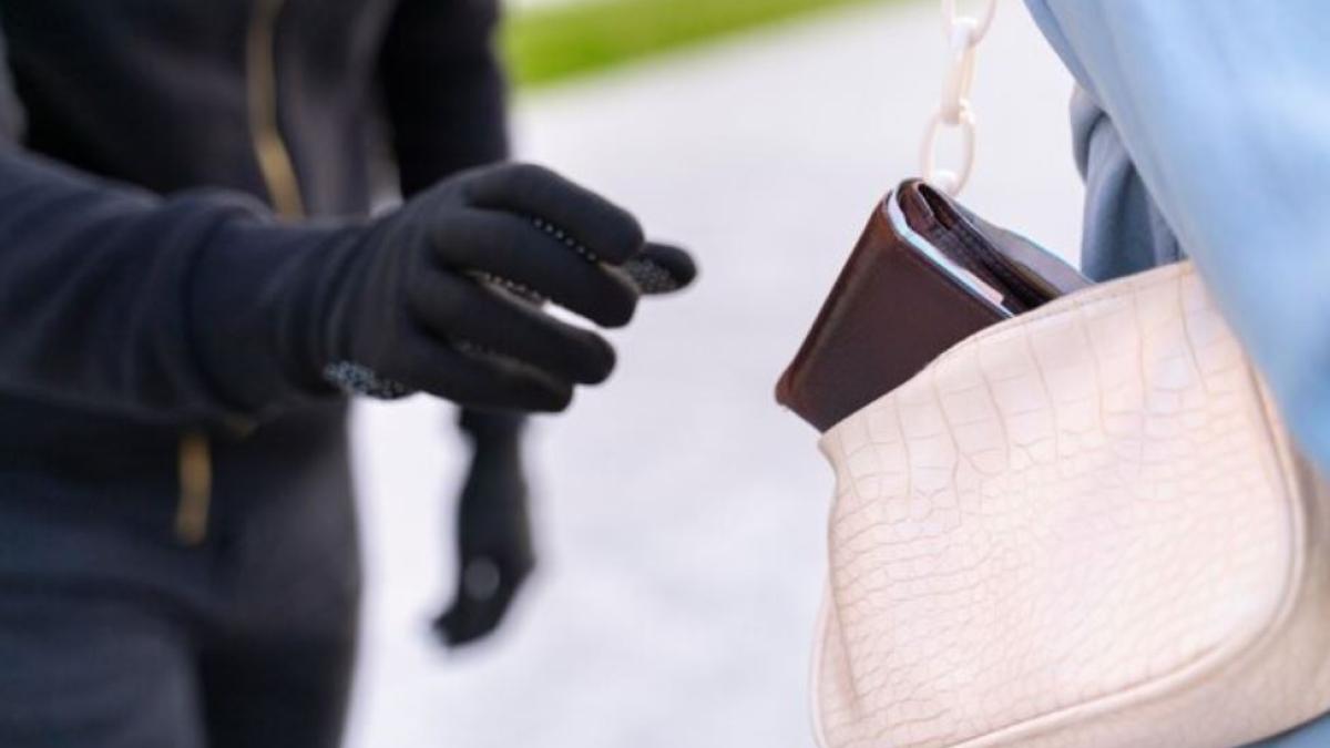 doua-romance-din-spania--membre-ale-clanului-tehijovich--prinse-in-timp-ce-sustrageau-portmonee