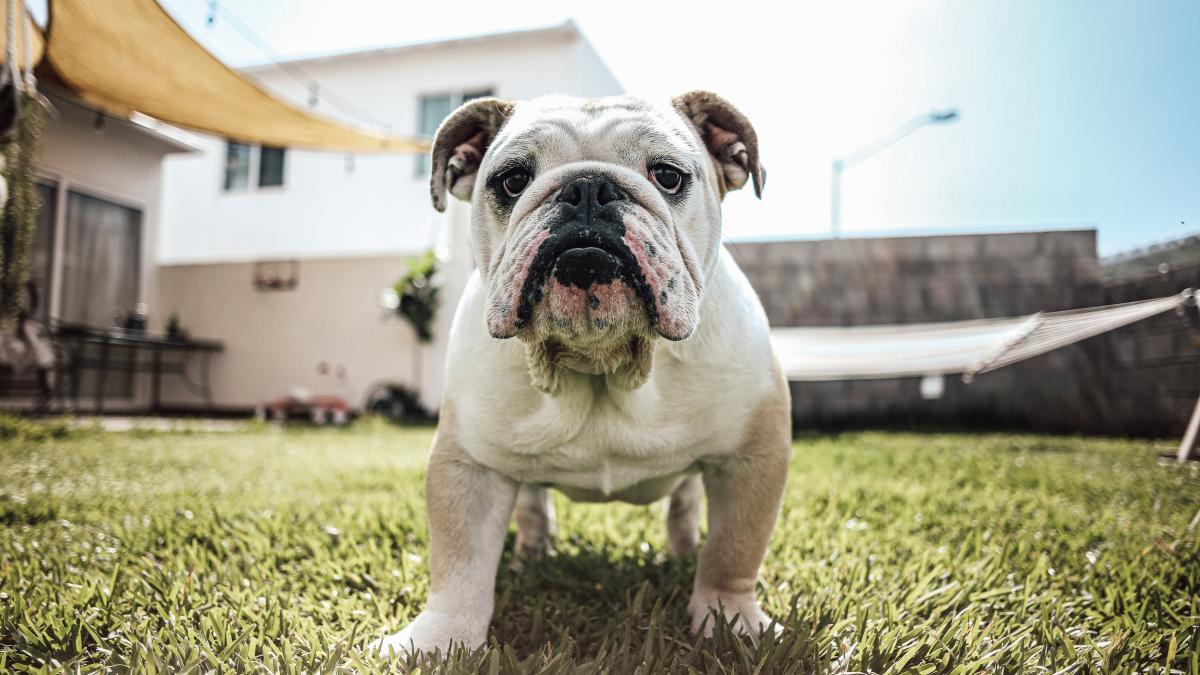 josue-michel-qtakke4cdv0-unsplash_48807600