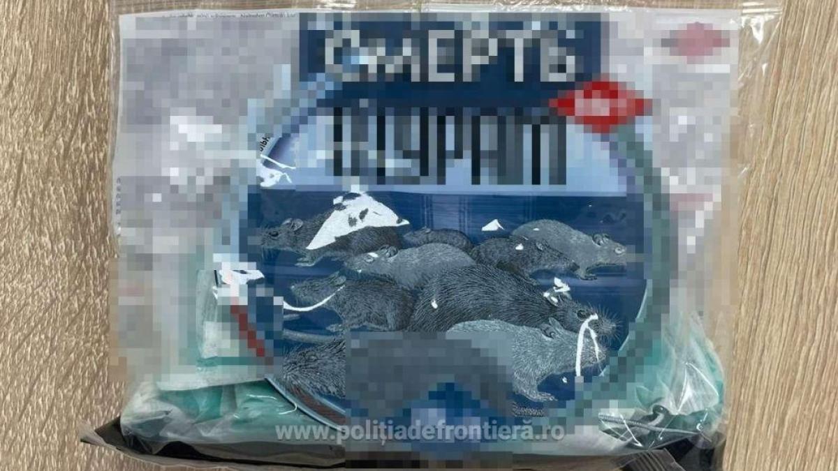 dosar-penal-pentru-o-soferita--care-a-incercat-sa-introduca-in-romania-10-kilograme-de-otrava-pentru-rozatoare_65373500