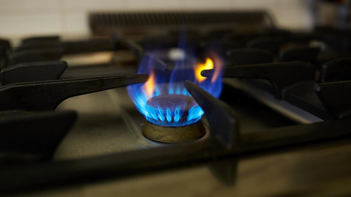 novapg_stiridiaspora-ro_01422100