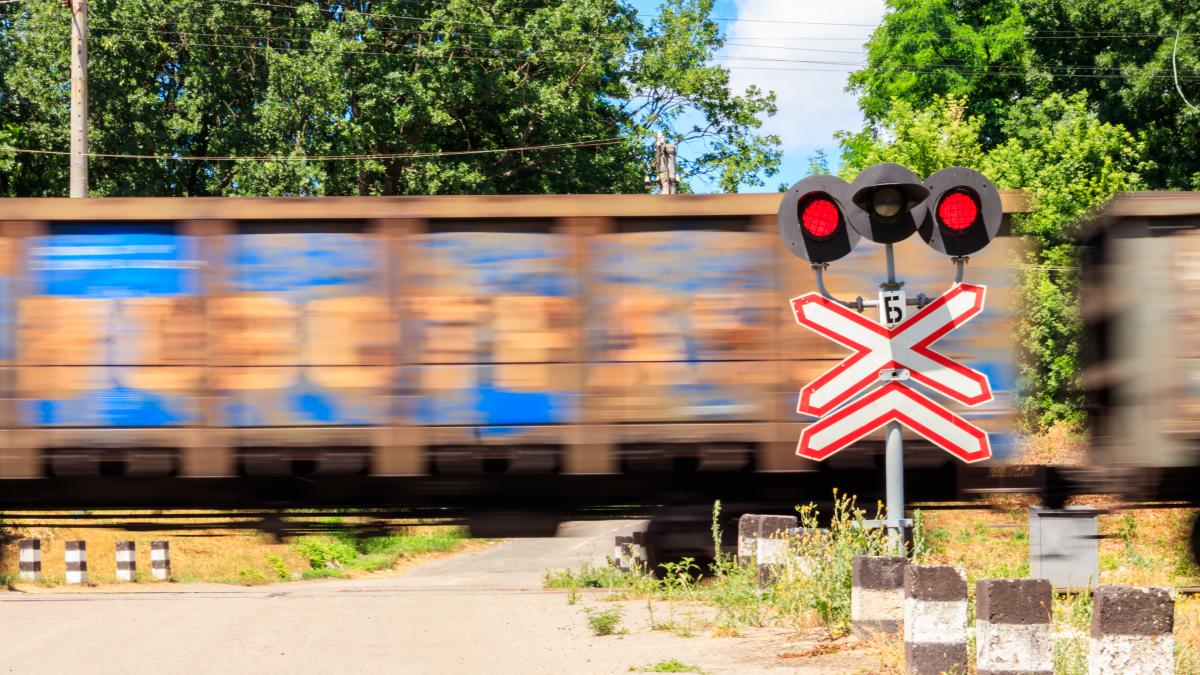 tren-america-tren-sua_84171300