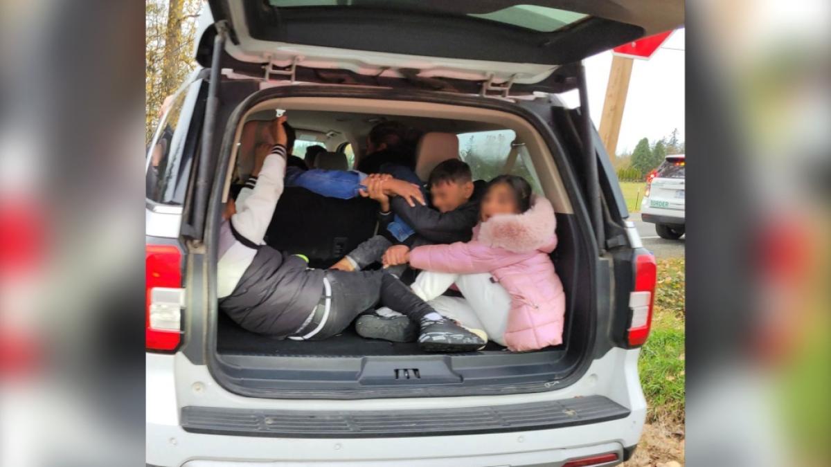 romanian-smuggling-1-6649819-1700244906411_12572600