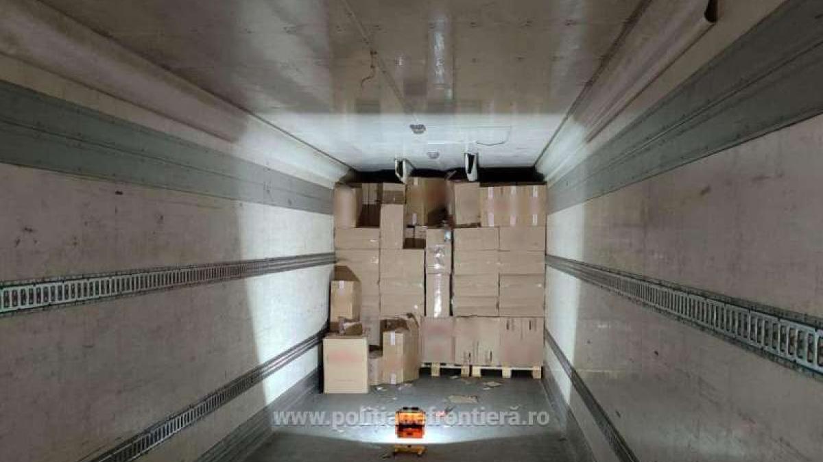 tigari-ascunse-tir-vama_08311300