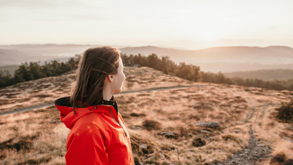 theodor-vasile-2nwmhgh9sfe-unsplash_69921400