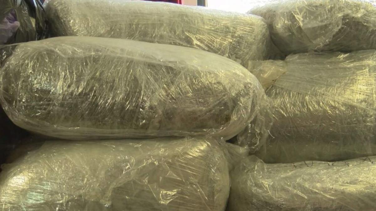 un-vames-bulgar--prins-cu-15-kilograme-de-marijuana-in-masina_05516100