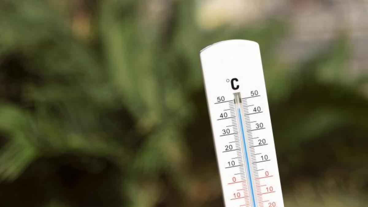 temperaturaa_44880000_54500300