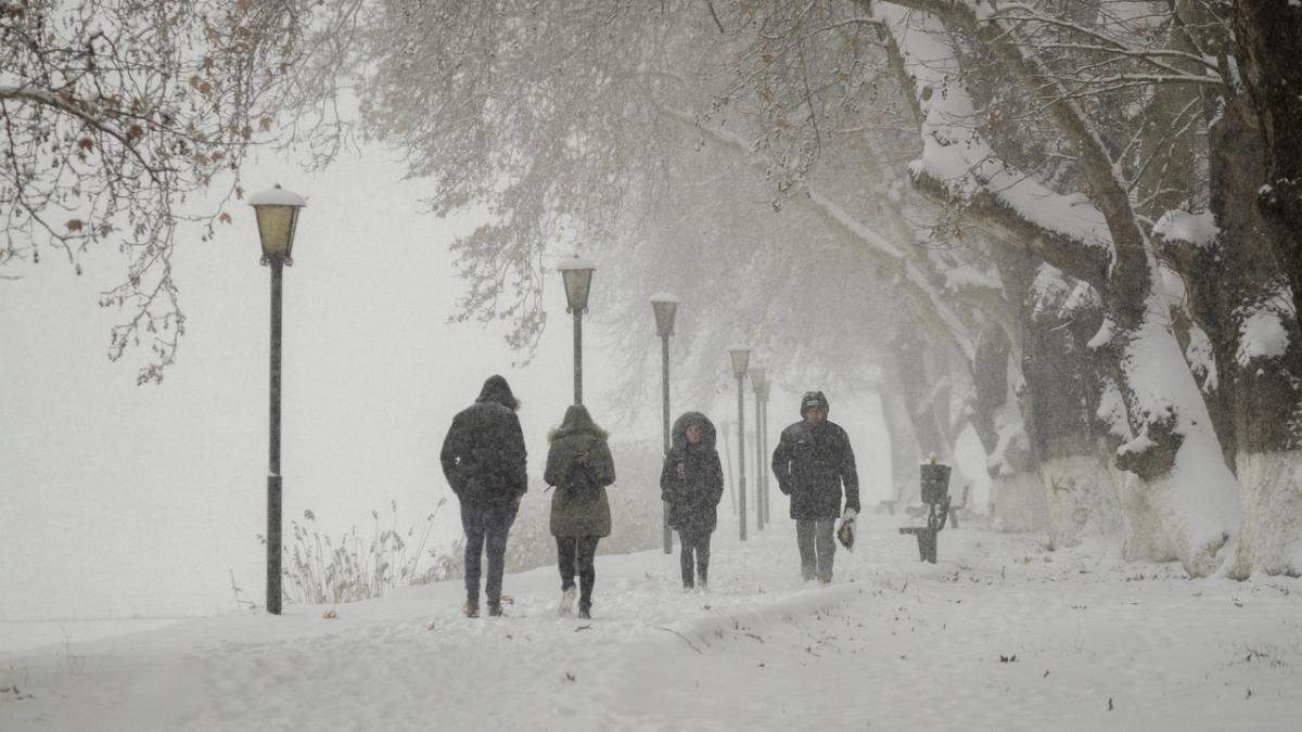drama-in-austria--un-barbat-a-ramas-blocat-cu-masina-in-zapada-si-a-murit-inghetat_16332100