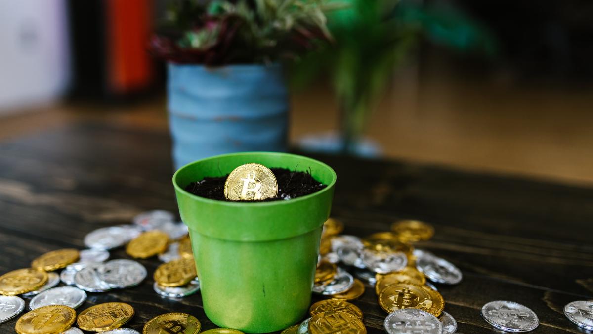 afacerea-cu-criptomonede-a-dus-o-la-sapa-de-lemn--o-romanca-din-italia-a-pierdut-peste-85-000-de-euro_76696900