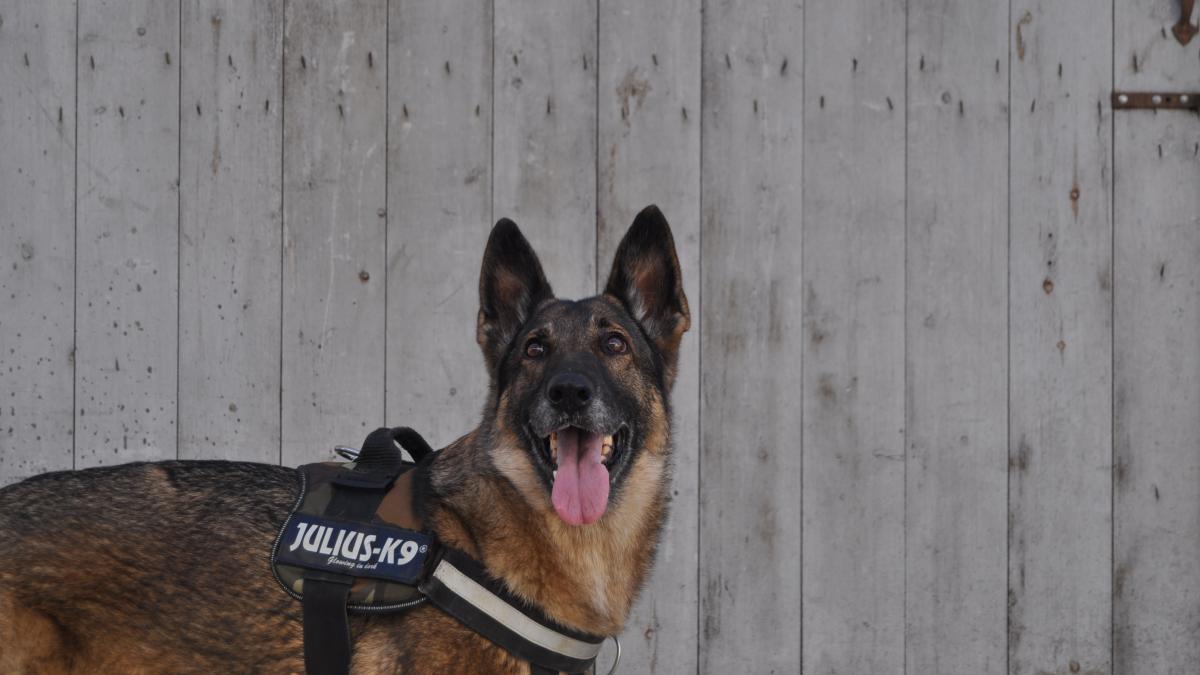 caine-politie_43903300