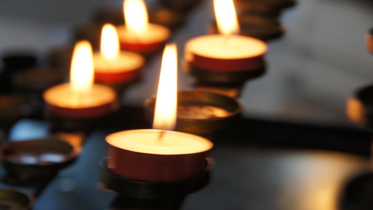 eli-solitas-q6e4zwgtucm-unsplash_48557000