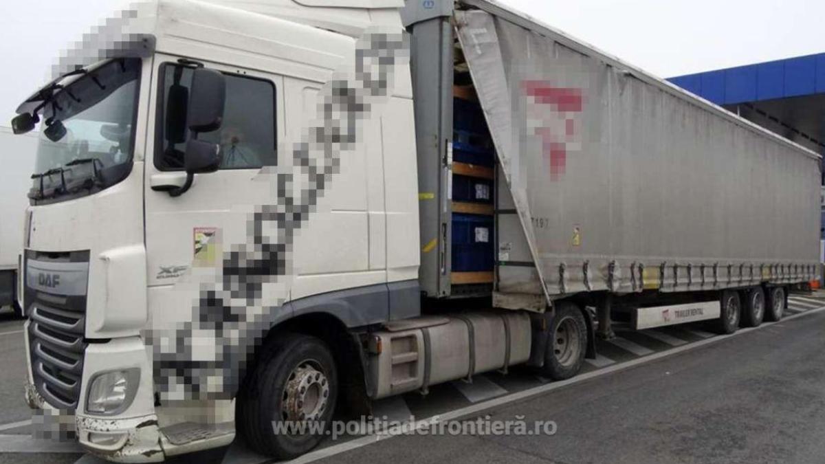 camion--in-drum-spre-marea-britanie--verificat-la-intrarea-in-tara--soferul-ascunde-8-kilograme-de-tutun-maruntit_71928300