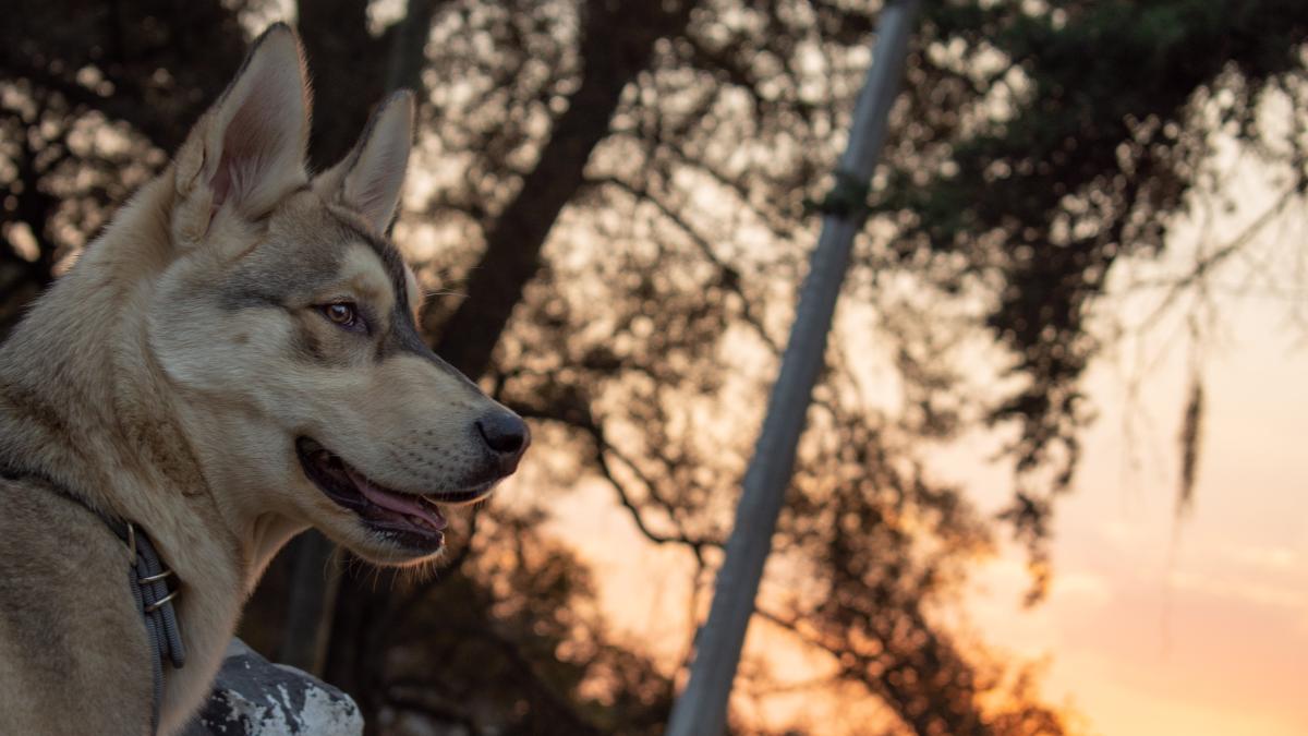 sergio-hernandez-trejo-drzzbary2ds-unsplash-1_37209100