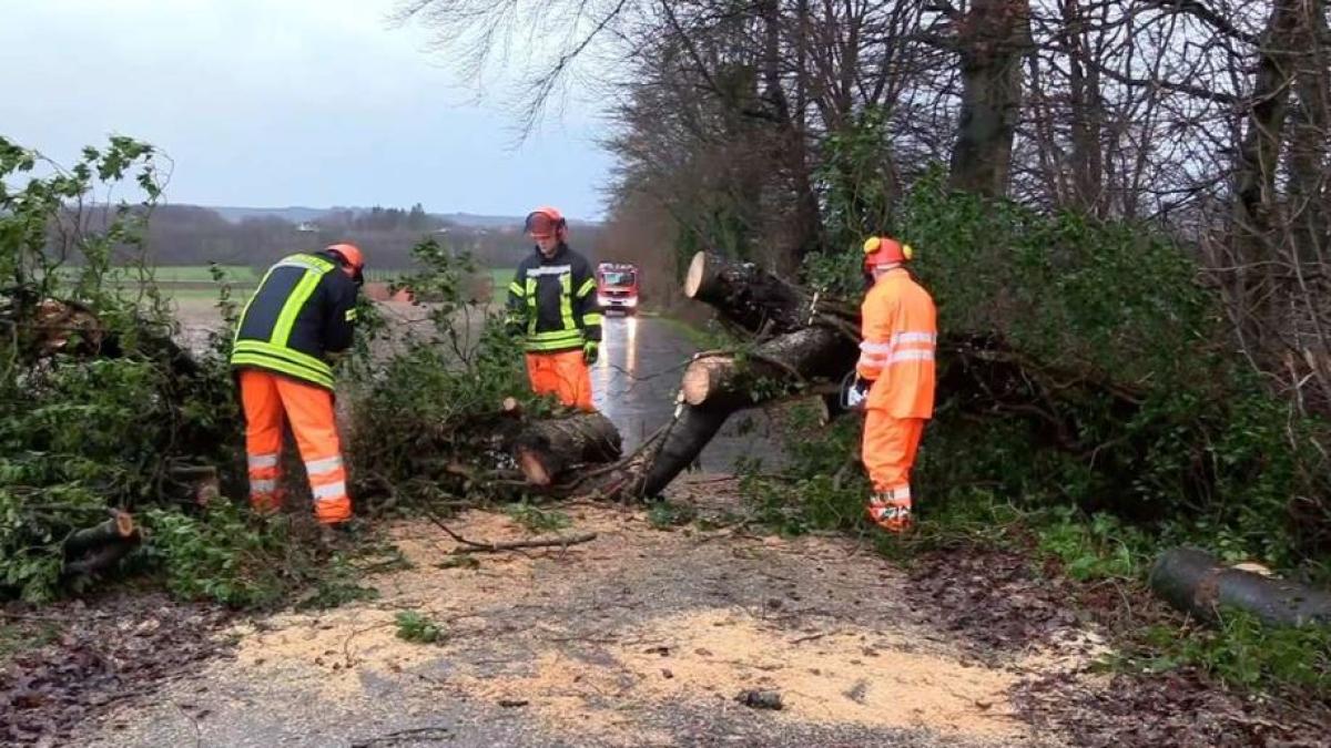 furtuna--zoltan--face-ravagii-in-germania---pagube-majore-in-mai-multe-regiuni_51410200