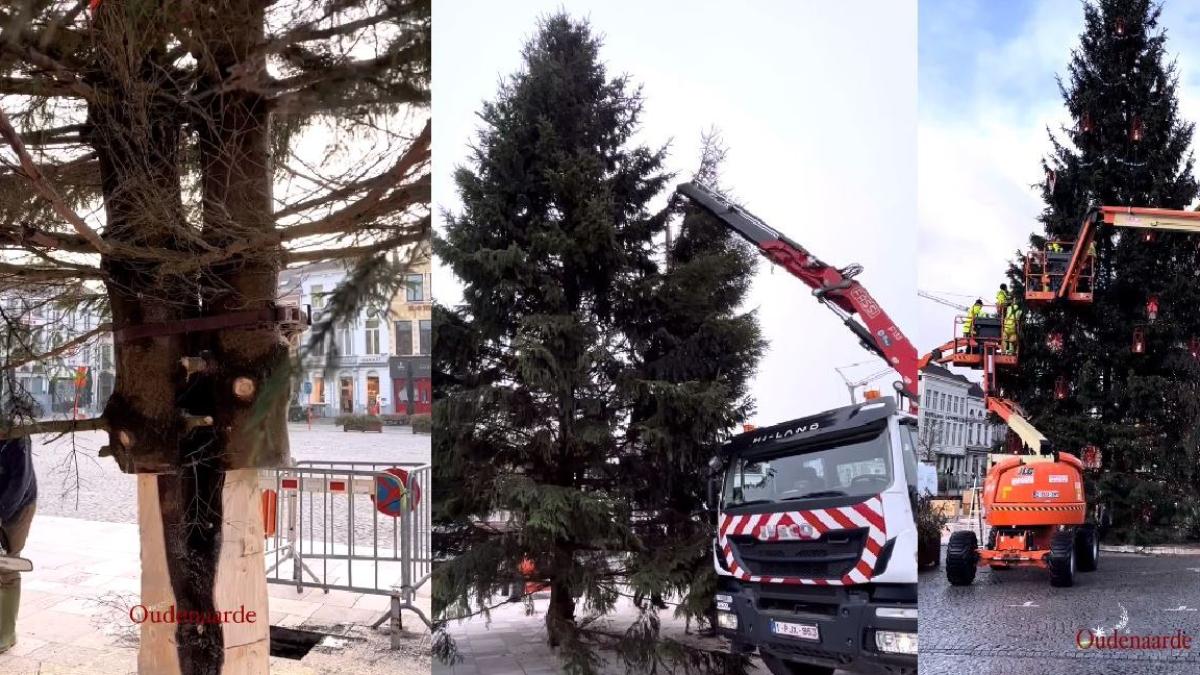 tragedie-la-targul-de-craciun-din-belgia--bradul-a-cazut-peste-o-femeie--care-a-murit-pe-loc_37428800