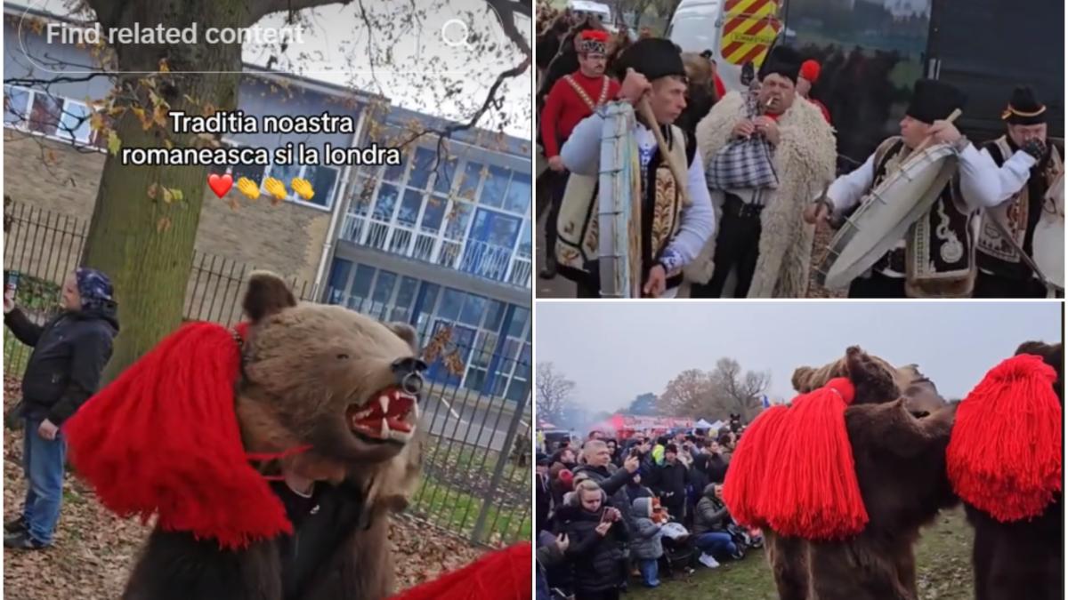 urs-londra-traditie-romaneasca_23761600