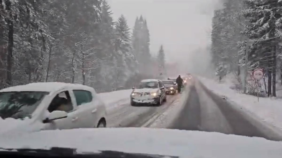 soferi-valea-prahovei-cauciucuri-de-iarna_10826400