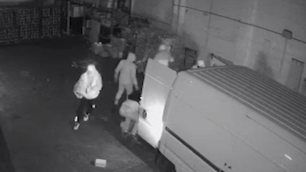 un-roman-si-complicii-sai-au-jefuit-o-firma-din-zona-bologna--hotii-au-sustras-bunuri-de-1-milion-de-euro_71513500