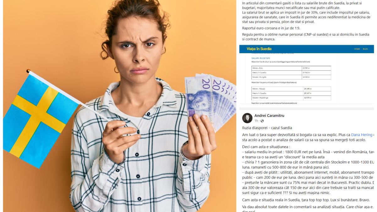 controversa-salarii-suedia-andrei-caramitru_44266100