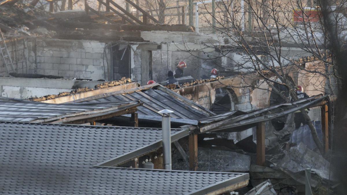 urmari_tohani_ferma_dacilor_18273500