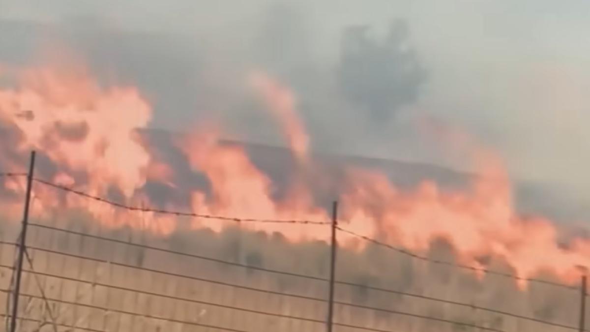 incendii-masive-in-italia--pompierii-se-lupta-cu-flacarile-fum-dens-si-oameni-evacuati