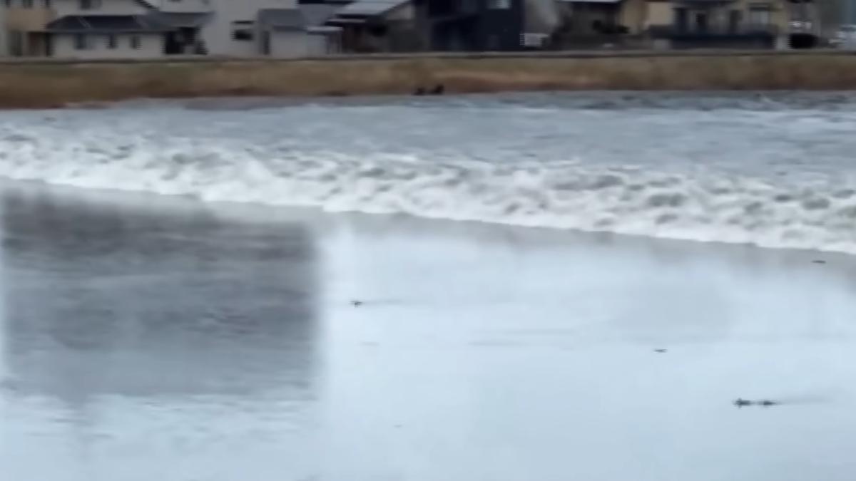 cutremur-japonia--tsunami_86175300