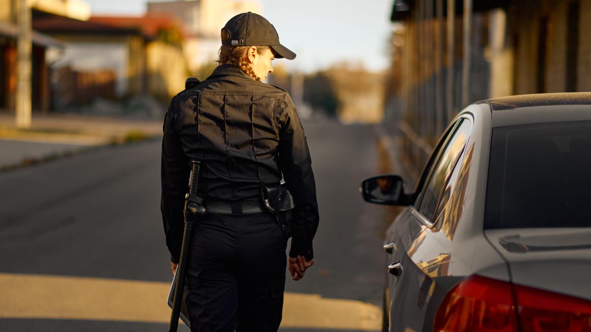 doi-copii--rapiti-in-danemarca--in-timpul-sarbatorilor-de-revelion--minorii-erau-in-strada-cu-tatal-lor-si-admirau-artificiile_52187800