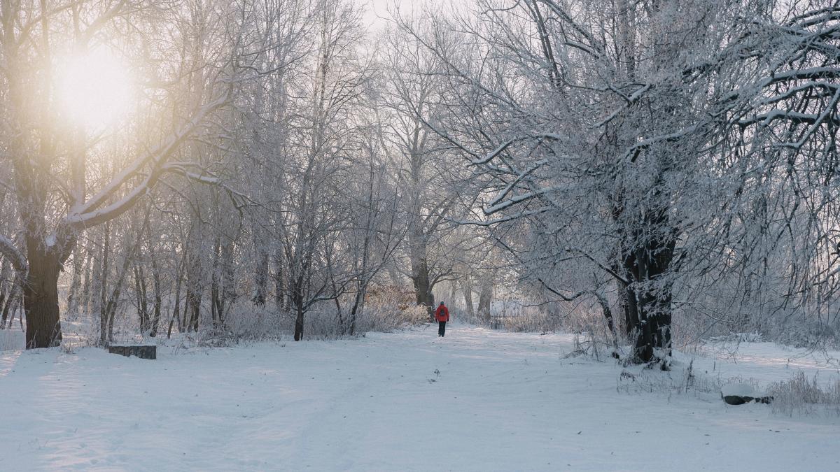 horoscop-pentru-3-ianuarie--balanta--vei-ramane-fara-bani--varsator--vei-primi-o-veste-neplacuta--previziuni-complete_66016300