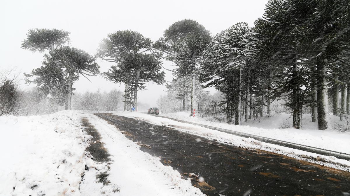 mae--atentionare-de-calatorie-pentru-romani---cod-portocaliu-de-vant-si-ninsori-puternice-in-suedia_69147900