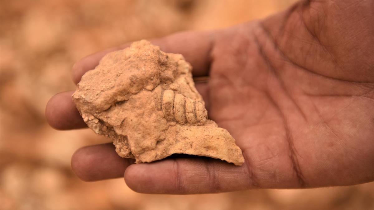 fosile-dinozaur_70409600