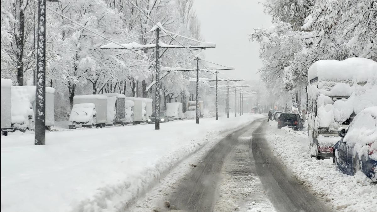 zapada-viscol-ilustrativ-zapada-ilustrativ_00827500