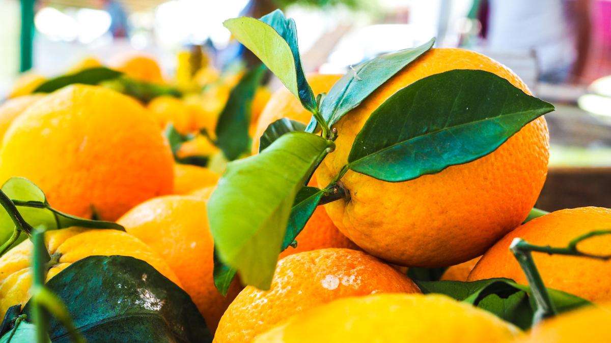 pretul-portocalelor-creste-vertiginos-in-spania--in-mijlocul-epidemiei-de-gripa---clientii-cumpara-mai-multe-citrice-pentru-vitamina-c_79440300