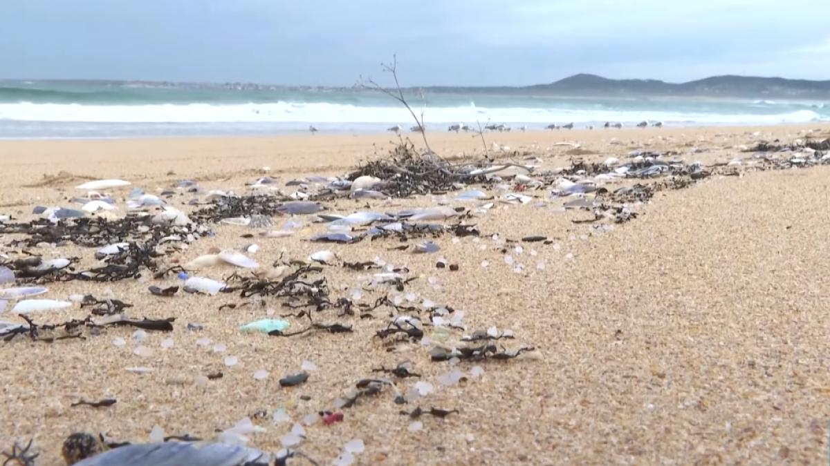 pelete-de-plastic-plaja-spania_76254200