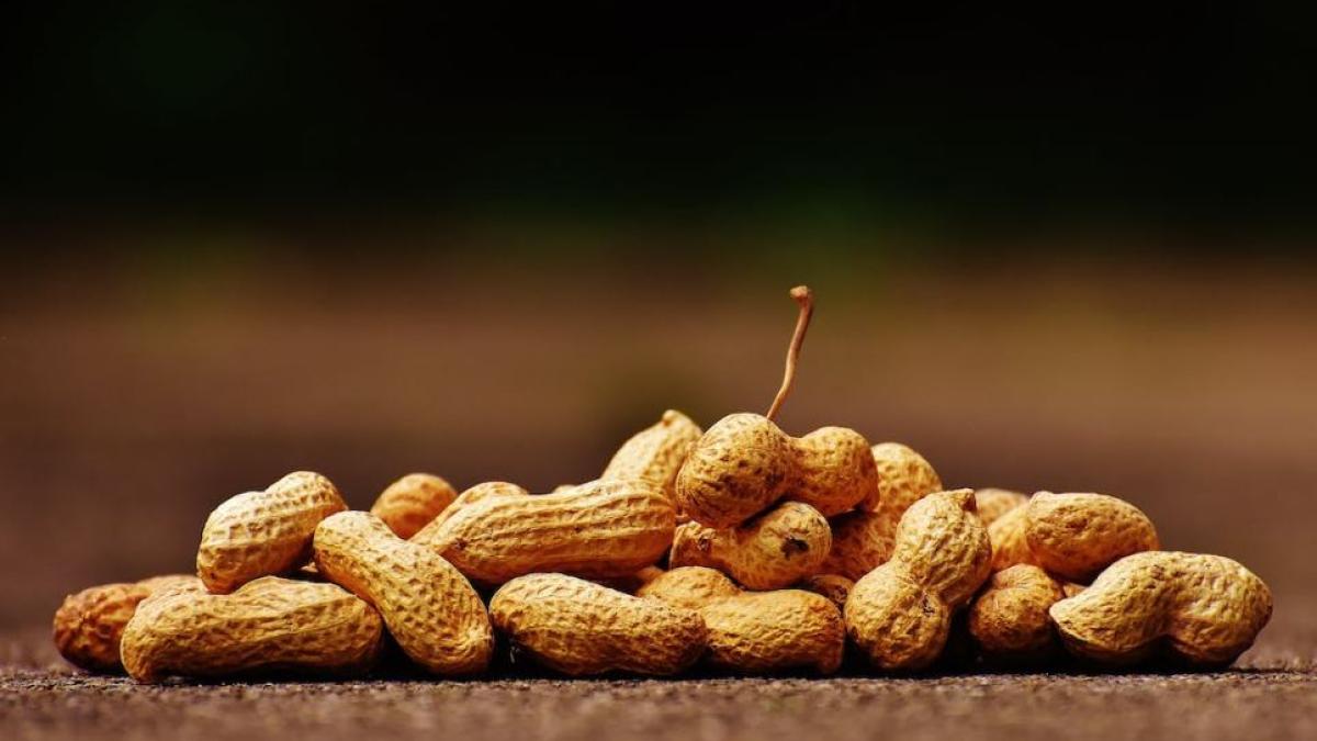 o-pasagera-alergica-la-alune--fortata-sa-cumpere-toate-pachetele-din-avion---personalul-a-refuzat-sa-ma-protejeze_62504800