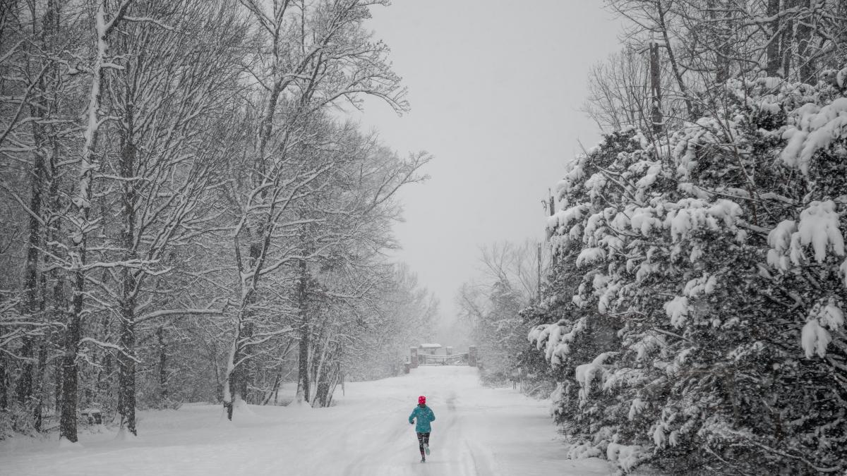 vlad-tchompalov-hmzf07ja7hk-unsplash_31703100