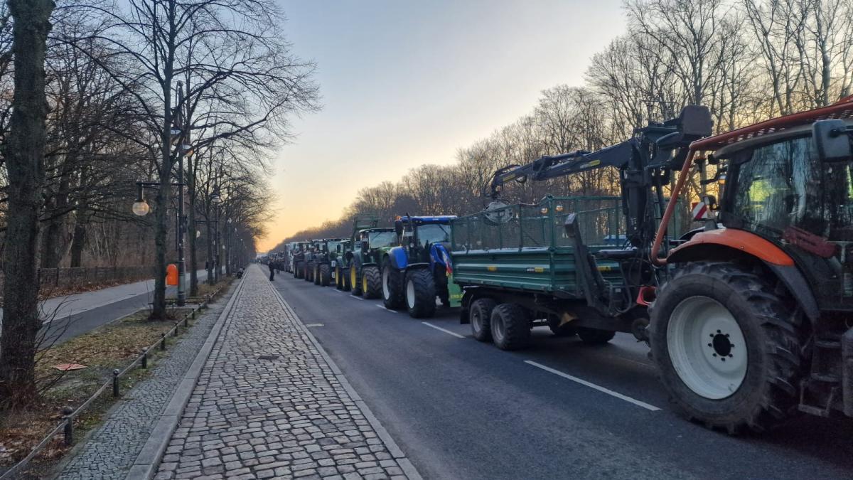 proteste-fermieri-germani--8-ianuarie-24-foto-stiridiaspora-1_25694400