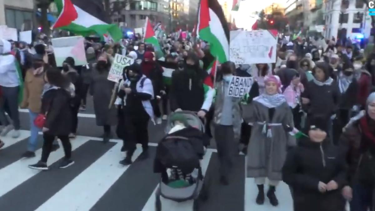 proteste-palestina-13-ianuarie-2024_90786800