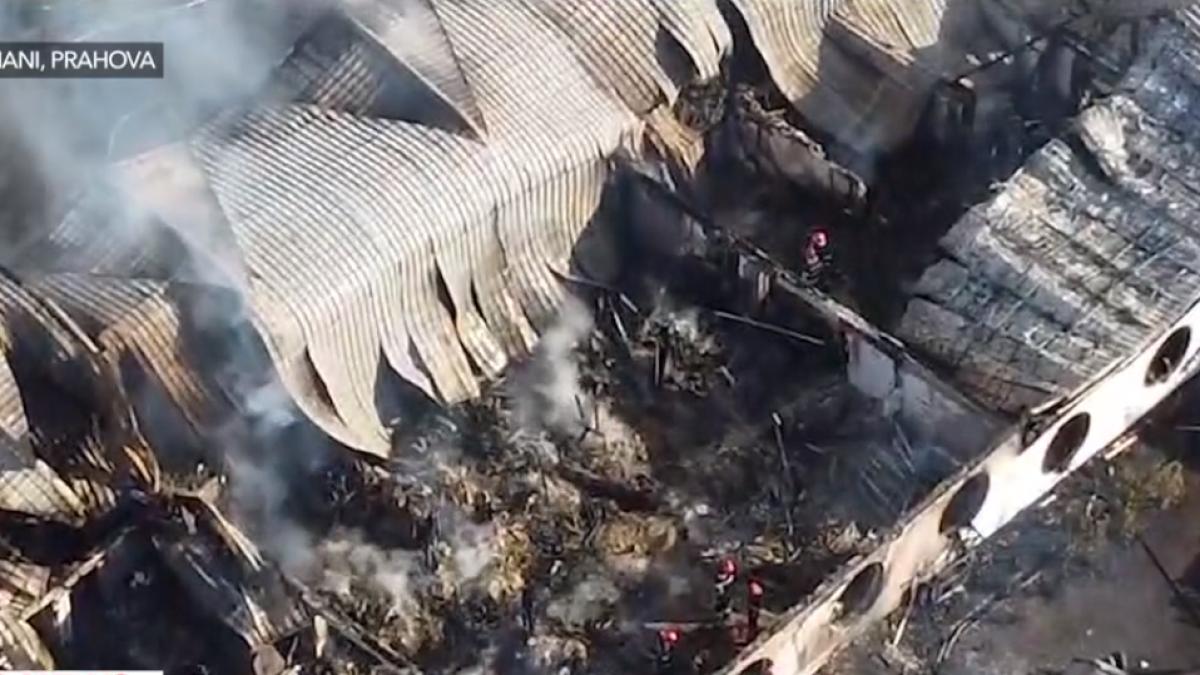 incendiu-tohani-prahova-ferma-dacilor_73304800