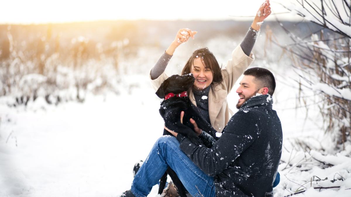 horoscop-21-ianuarie--comunica-si-cucereste-ziua-ta-straluceste--berbec-scorpioni--dati-lovitura-suprema-cand-vine-vorba-despre-bani-previziuni-complete_24657400