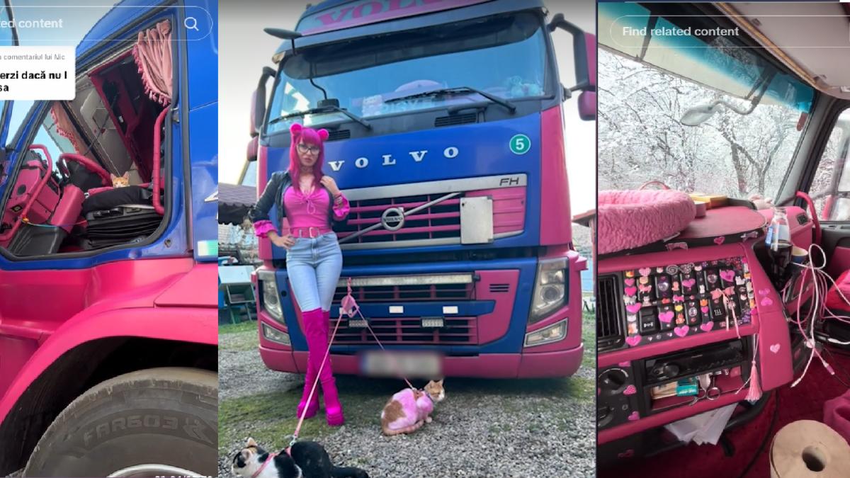 georgeta-tir-roz_74321100