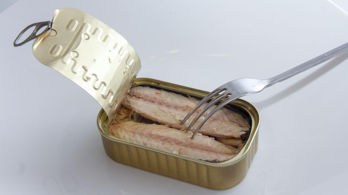 conserva_peste_pixabay