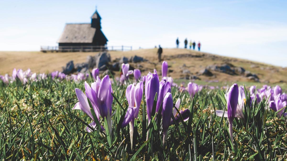 dominik-resek-jm8lagjyr4c-unsplash_12102800