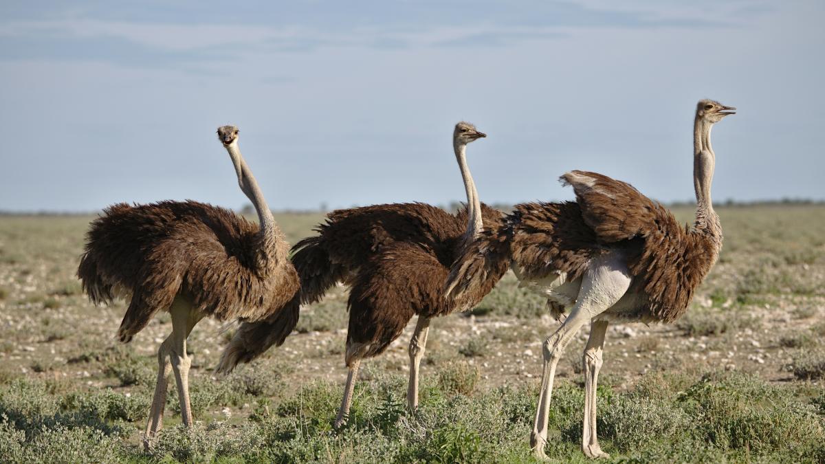 max-murauer-81rot9d5vn0-unsplash_83604100