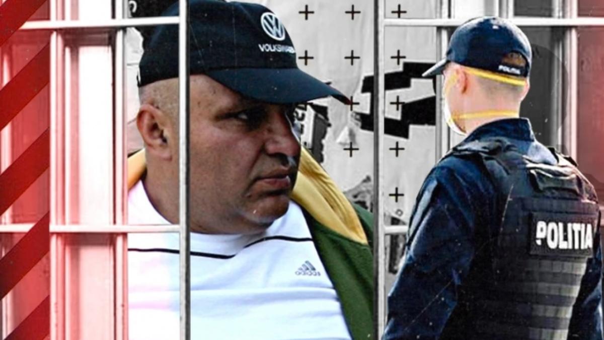 fane-capcana_41113000