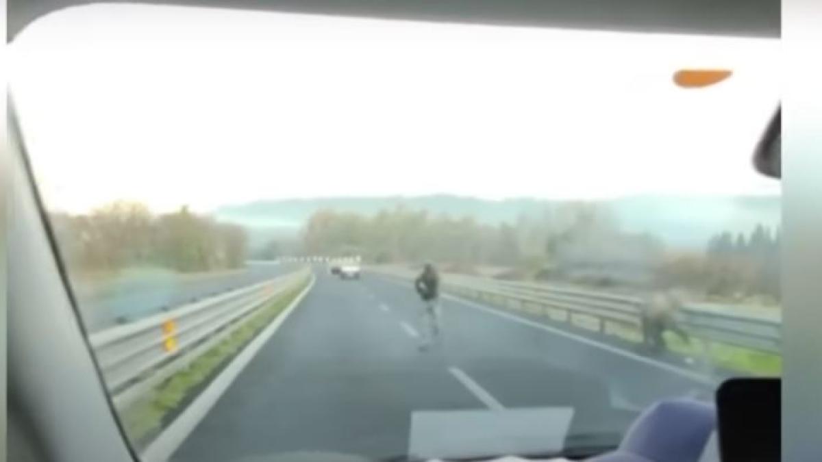 video--jaf-desprins-din-filmele-de-actiune--un-grup-de-indivizi-inarmati-au-blocat-autostrada-si-au-furat-patru-milioane-de-euro--in-italia_81268300