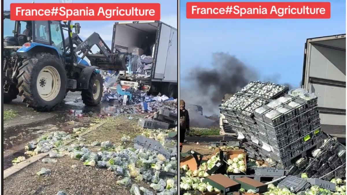 fermieri-francezi-legume-spania_59180400