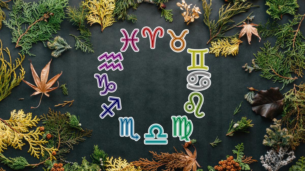 erol-ahmed-ihl-jbawvvo-unsplash