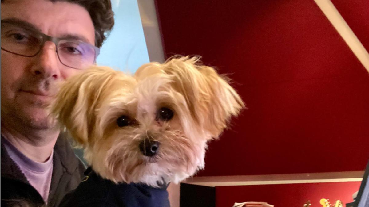 serban-ghenea_47810900